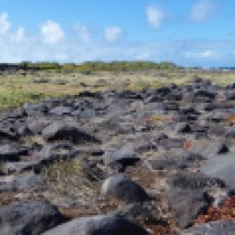 lava stone landscape